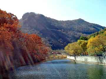 新澳天天开奖资料大全旅游团，四川日报广告部电话